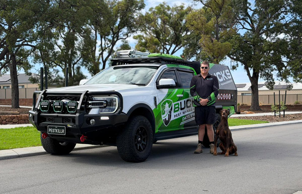 buckspest inspections treatments