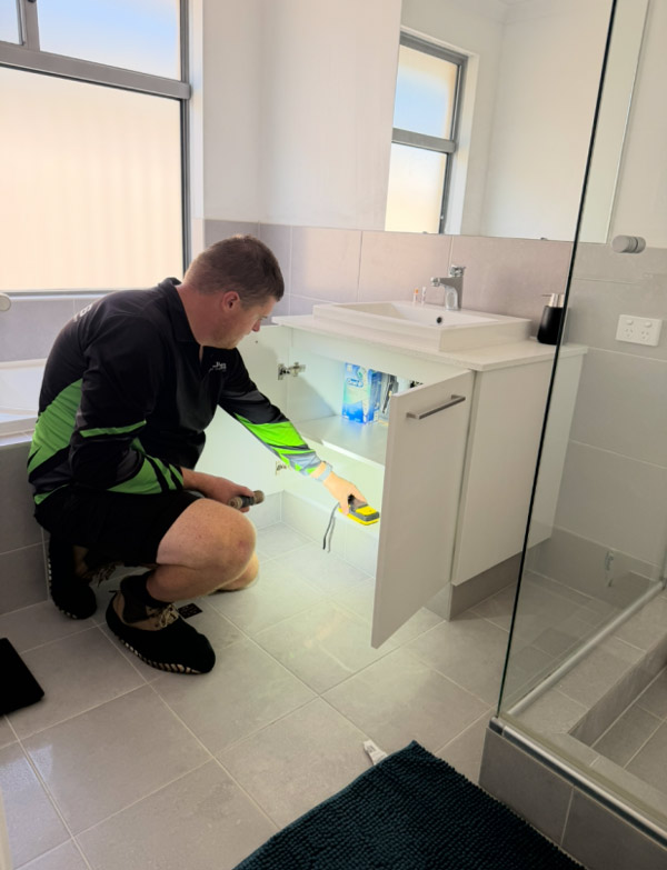 inspections pests perth