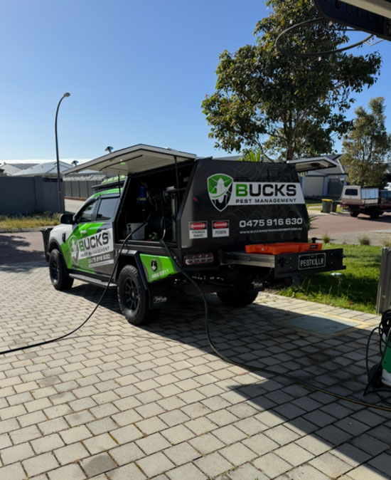 pest management perth